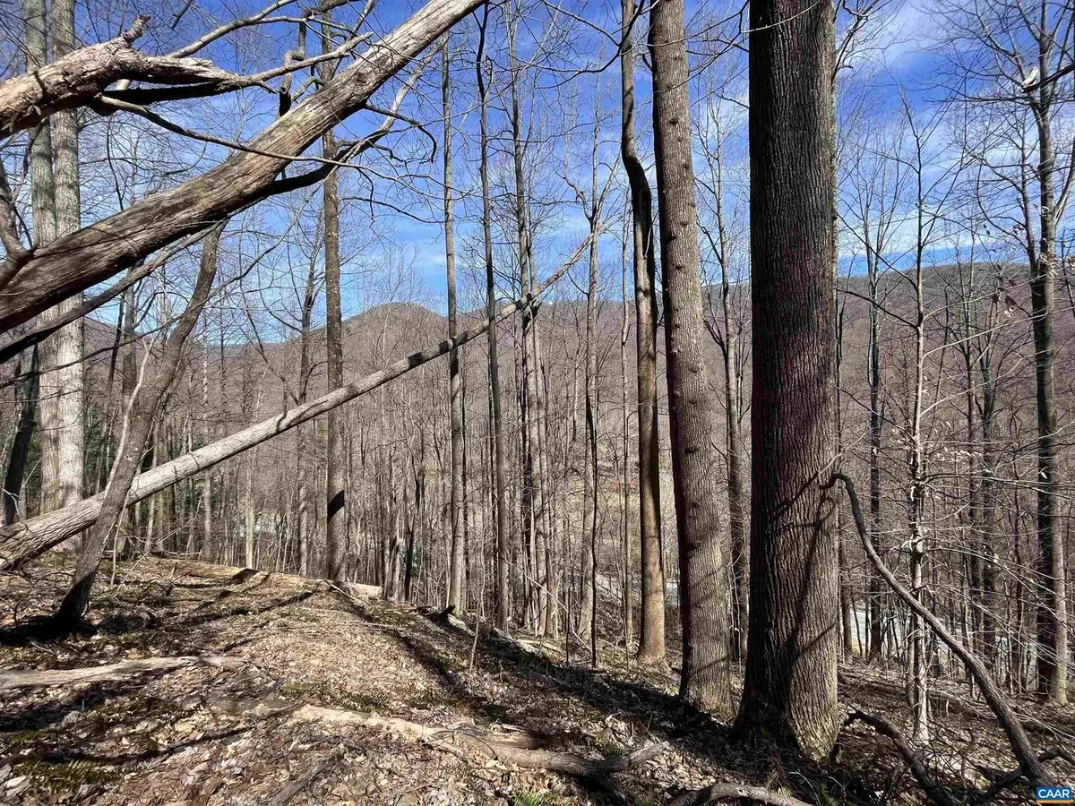 Tbd Beech Grove Rd, Roseland, VA 22967 - Image #1