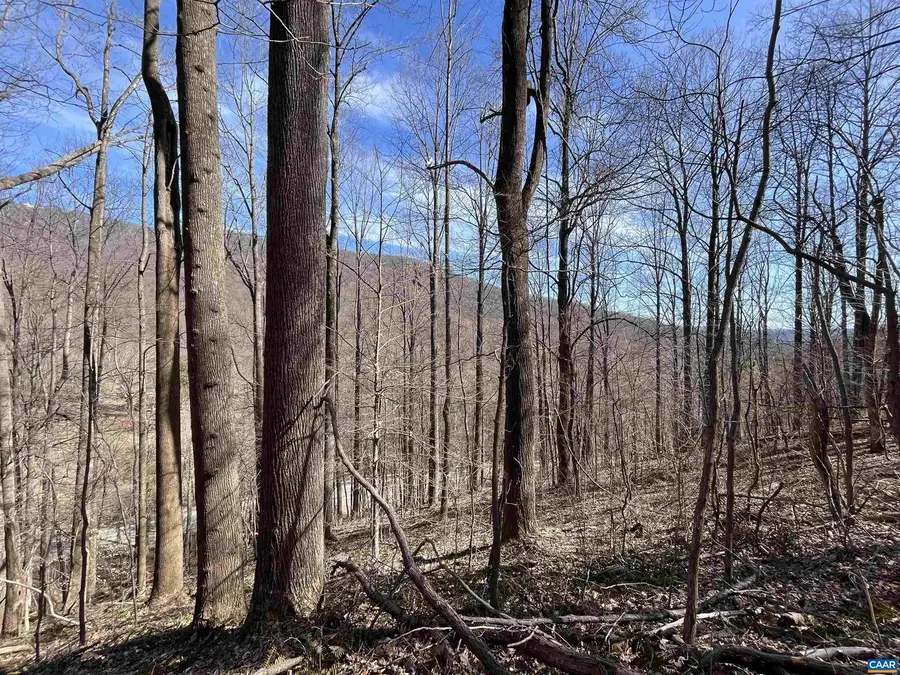 Tbd Beech Grove Rd, Roseland, VA 22967 - Image #2