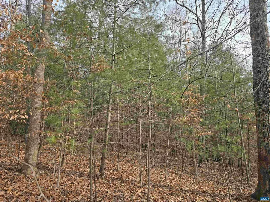 6 Runaway Ln, Stanardsville, VA 22973 - #3