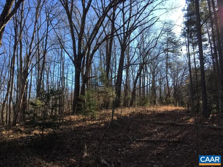 0 Batesville Rd, Afton, VA 22920 - #2