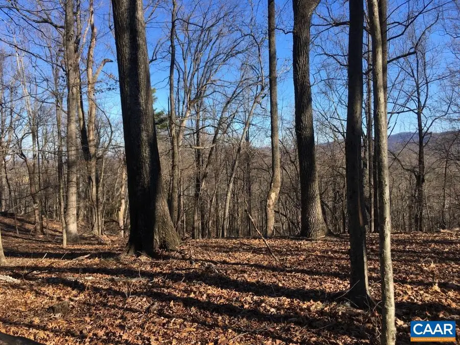 0 Batesville Rd, Afton, VA 22920 - #3