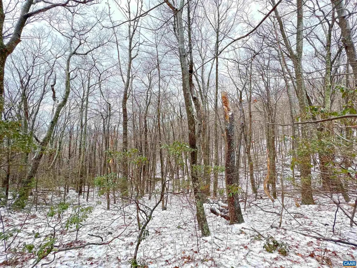 1843 Wintergreen Dr, Wintergreen Resort, VA 22967 - #1