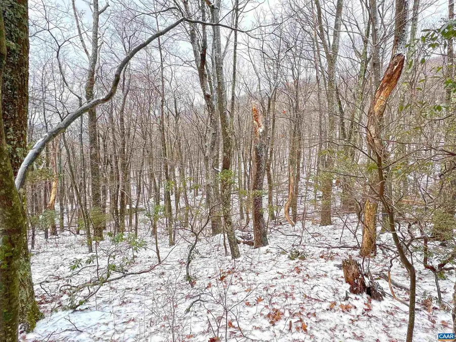 1843 Wintergreen Dr, Wintergreen Resort, VA 22967 - #2