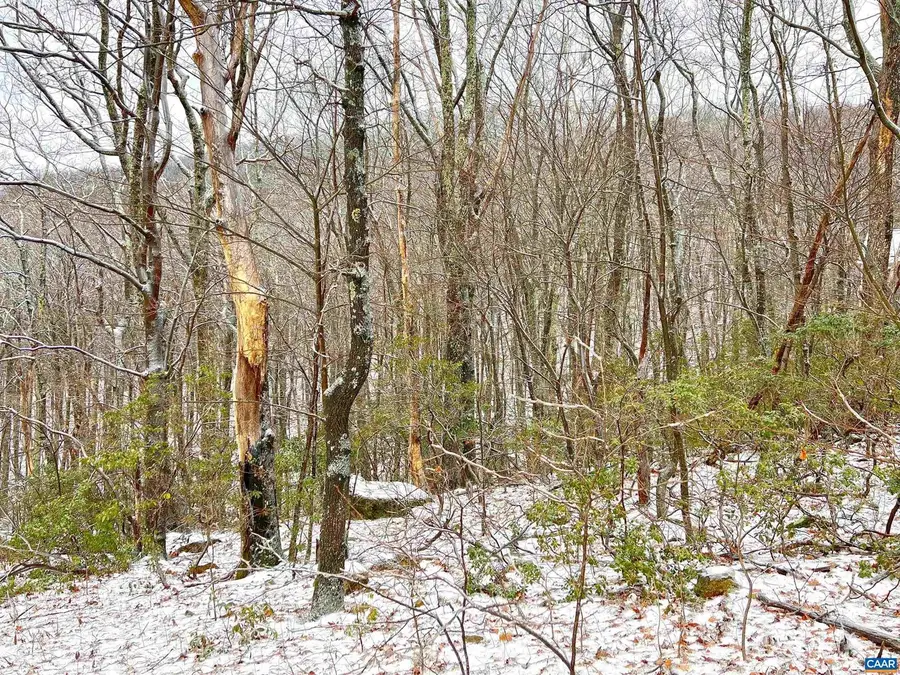 1843 Wintergreen Dr, Wintergreen Resort, VA 22967 - #3