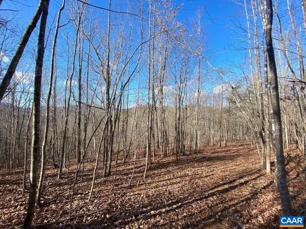 Walnut Grove Ln #45 A 26, LOVINGSTON, VA 22949