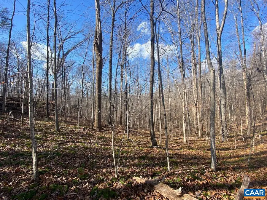 Walnut Grove Ln #45 A 26, Lovingston, VA 22949 - Image #2