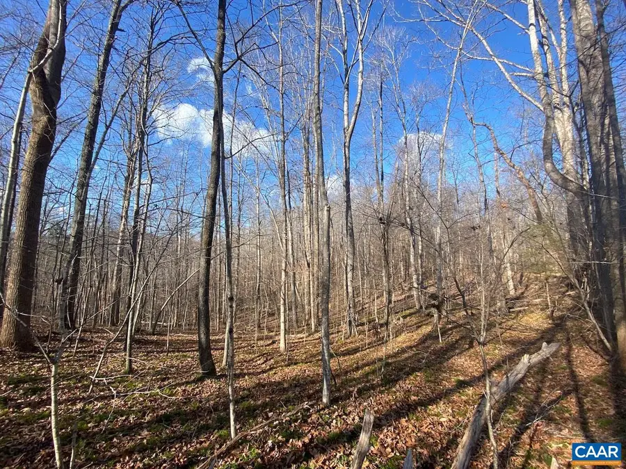 Walnut Grove Ln #45 A 26, Lovingston, VA 22949 - Image #3