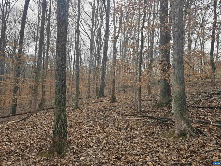 0 Barrett St, Palmyra, VA 22963 - #3