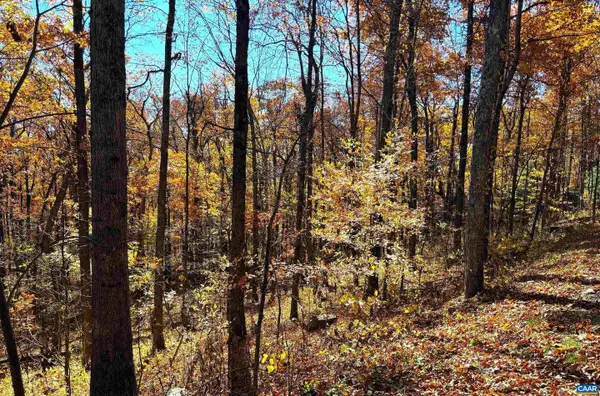 107 Firtree Dr, WINTERGREEN RESORT, VA 22967