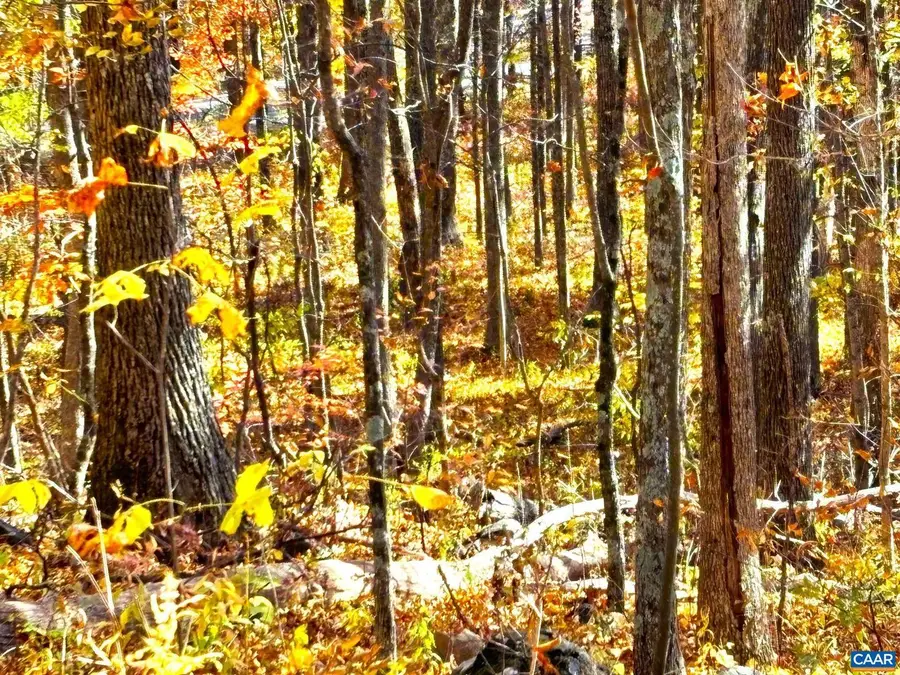 107 Firtree Dr, Wintergreen Resort, VA 22967 - #3