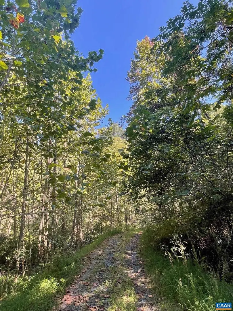 Tbd Stony Point Pass, Keswick, VA 22947 - #3