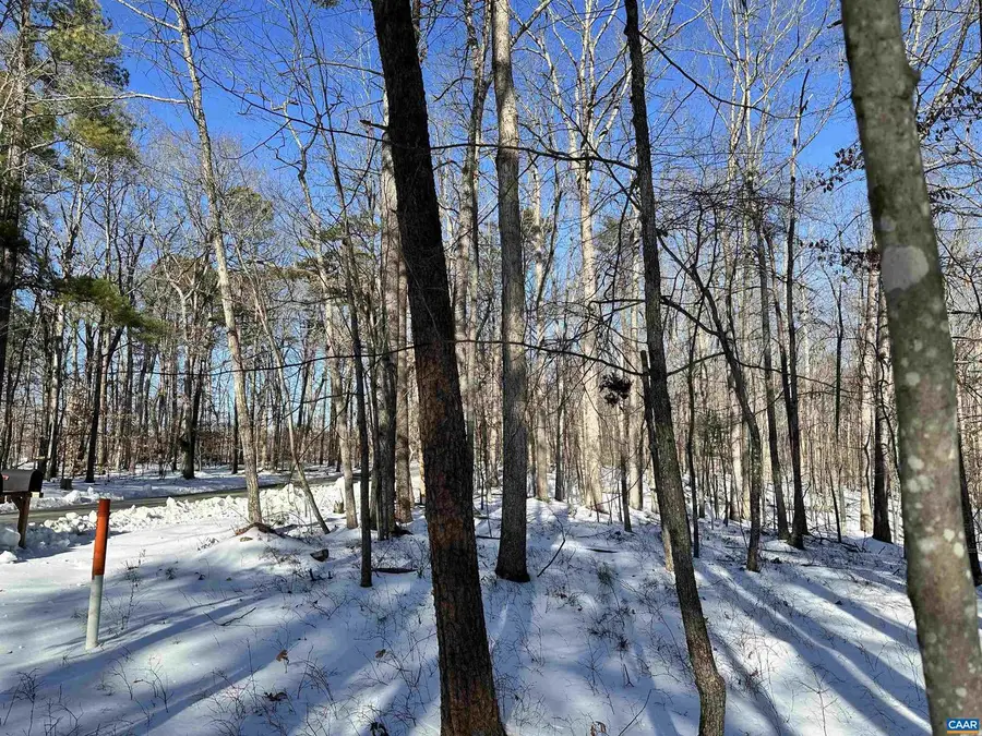 02 Beaverdam Rd #2, Keswick, VA 22947 - #2