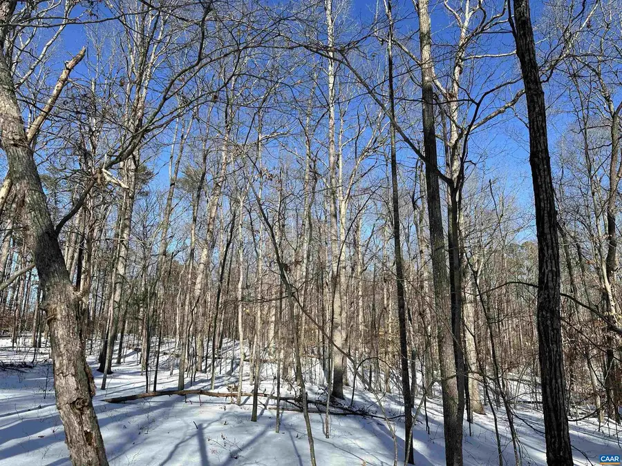 02 Beaverdam Rd #2, Keswick, VA 22947 - #3