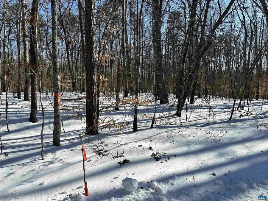 001 Beaver Dam Rd, Keswick, VA 22947 - #3