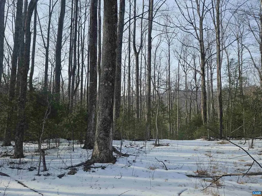 Tbd Lot 56g Turkey Ridge Rd #56g, Stanardsville, VA 22973 - #2