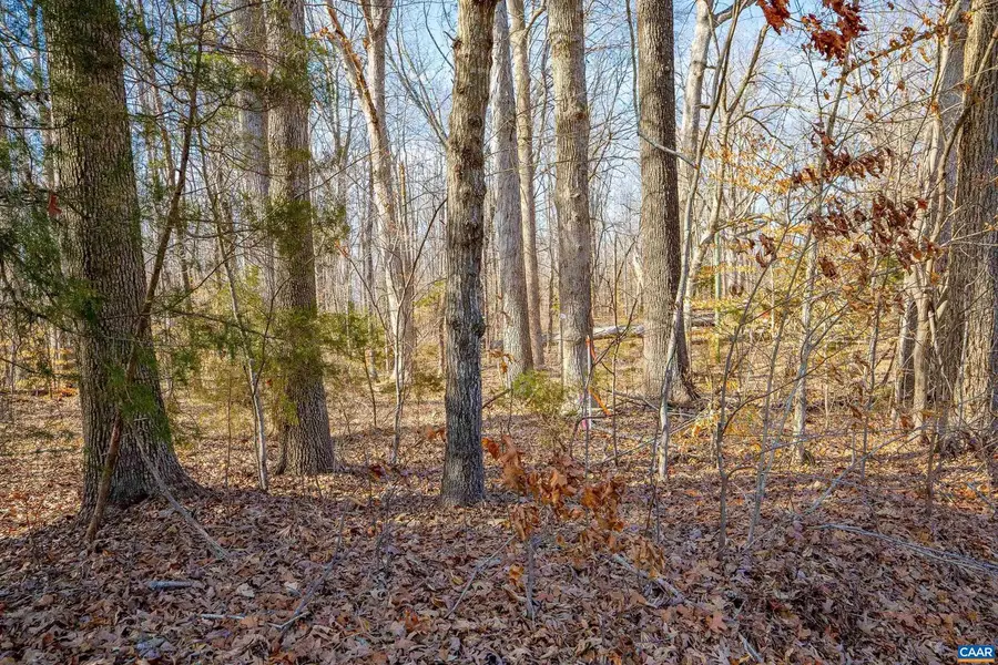 3335a Redd Shop Rd, Farmville, VA 23901 - #2