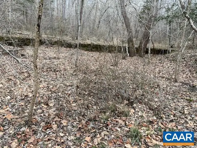 Old Sand Rd, Old Dominion, VA 22969 - #1