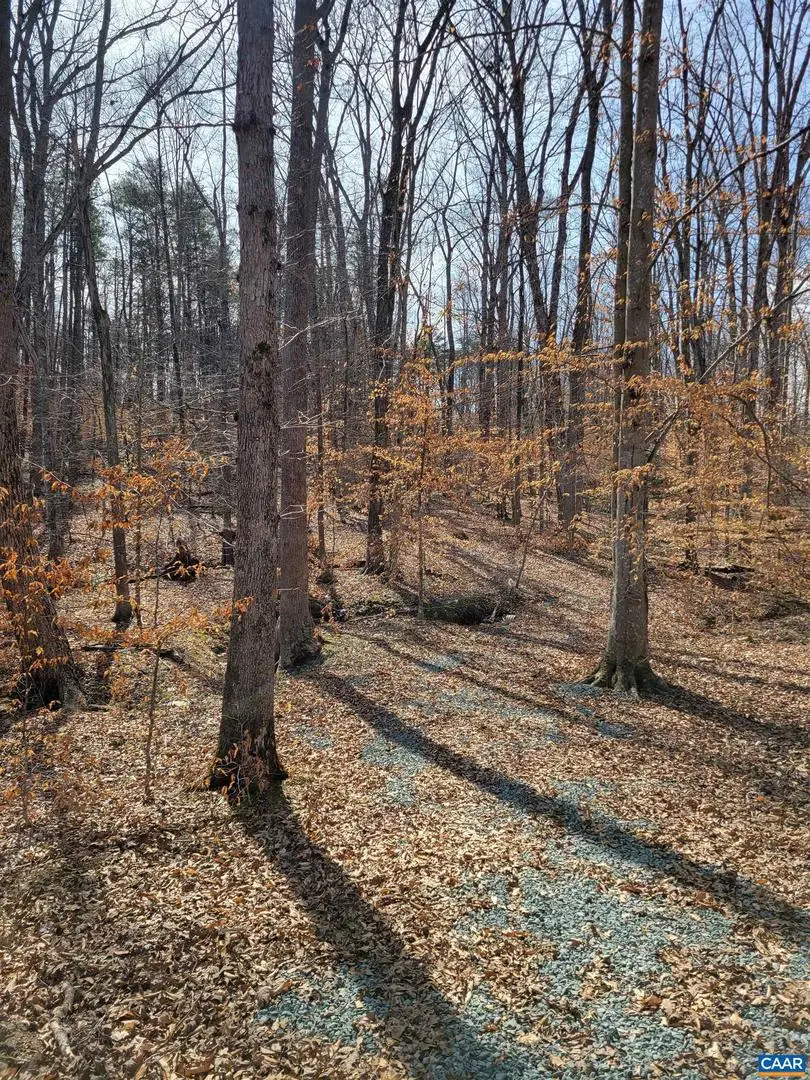 0 Lexie Ln, Palmyra, VA 22963 - #3