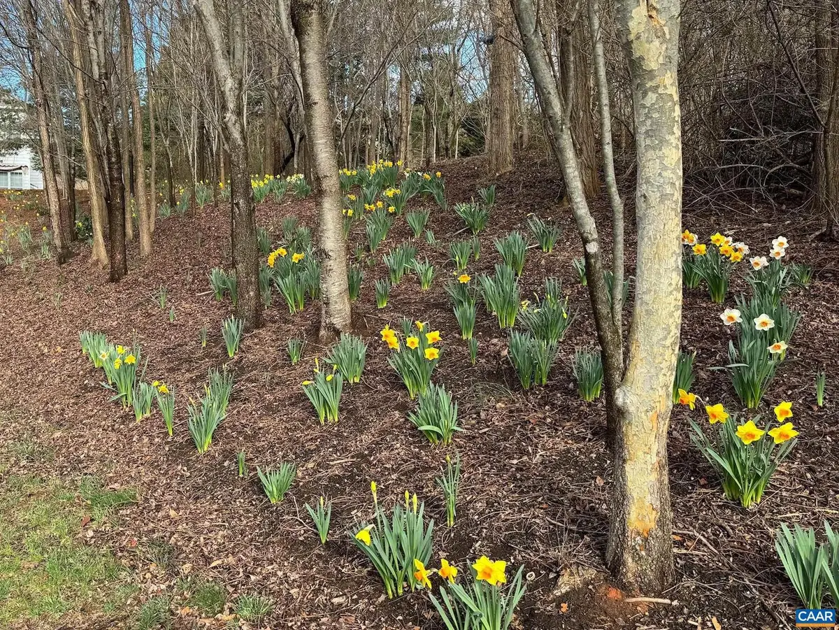 Tbd Edmond Dr #16d, Crozet, VA 22932 - #1