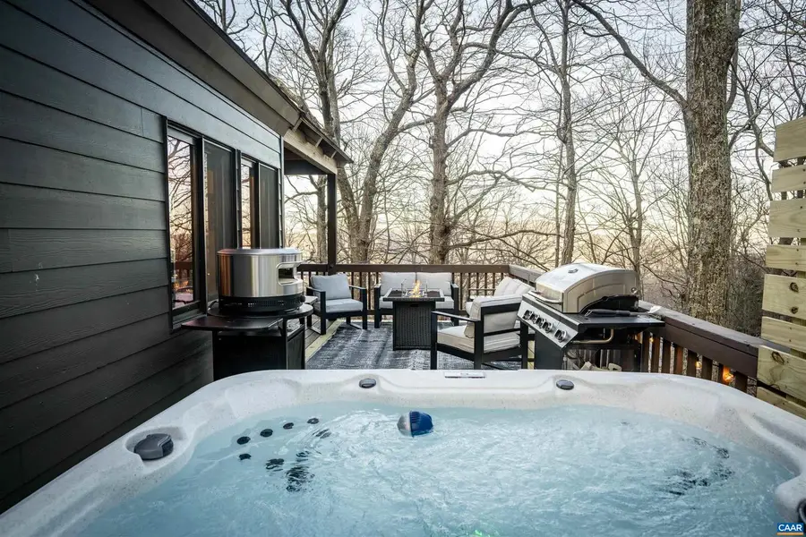 96 Squirrel Tree Ln, Wintergreen Resort, VA 22967 - #3