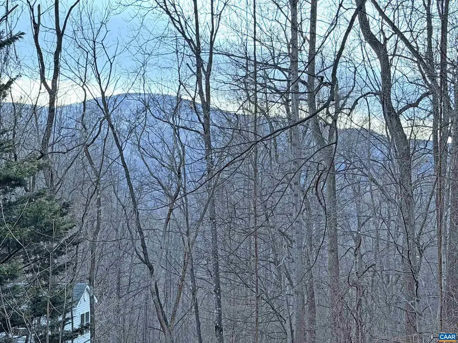 9 Dogwood Ln, Nellysford, VA 22958 - #3