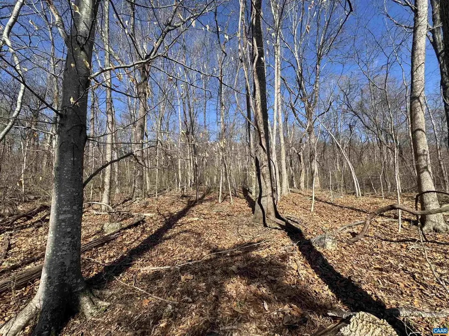 Lot 33 Monocan Dr, Nellysford, VA 22958 - #3