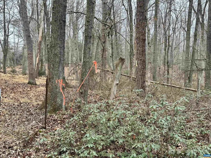 0 Elly Rd #50 81, Aroda, VA 22709 - #2