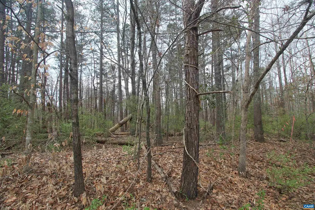 Tbd Sulphur Mine Rd, Charlottesville, VA 22911 - #1