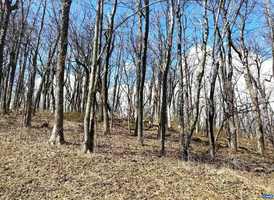 433 Laurel Springs Dr #1, Wintergreen Resort, VA 22967 - #2