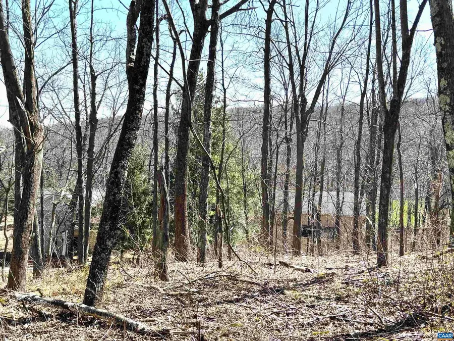 433 Laurel Springs Dr #1, Wintergreen Resort, VA 22967 - #3