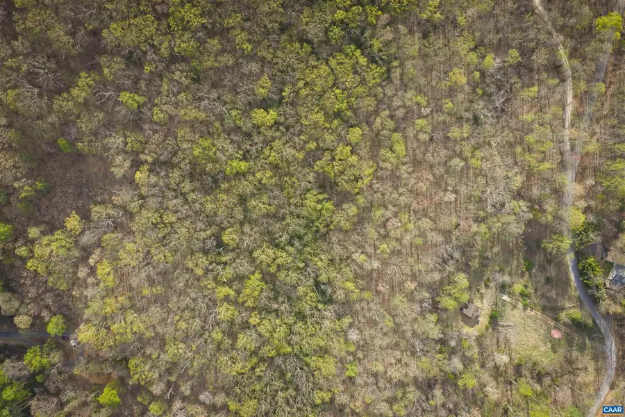 Lot 42 Tree House Pl #42, Nellysford, VA 22958 - #3