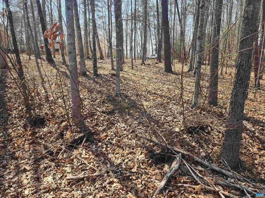 28 Jennings Dr, Palmyra, VA 22963 - #3