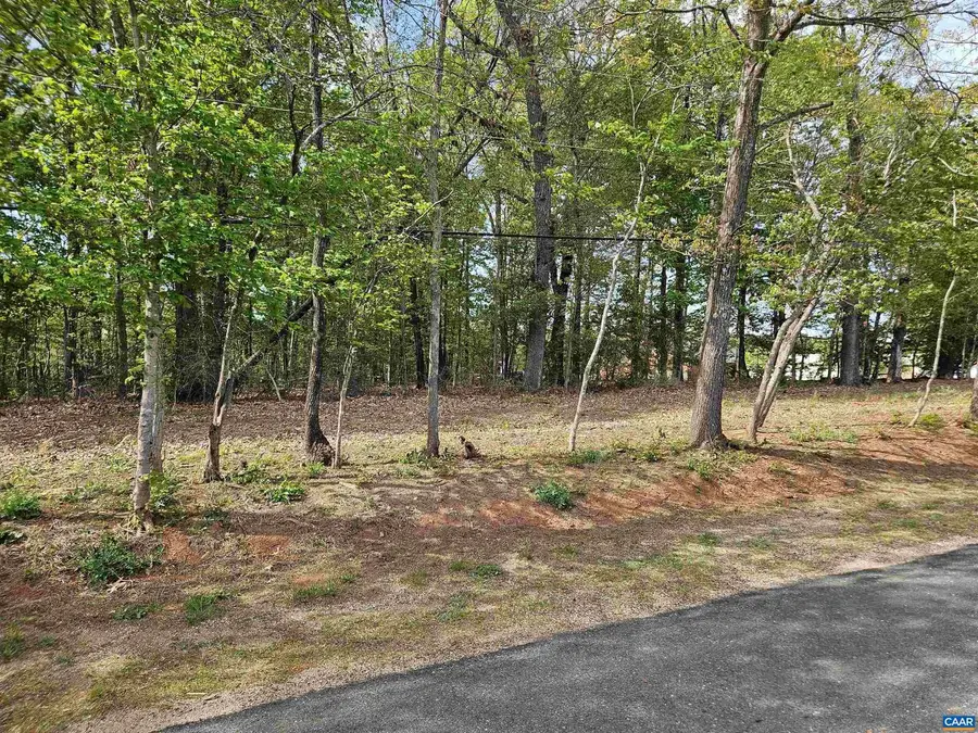 0.73 Ac N James Madison Hwy, Dillwyn, VA 23936 - #3