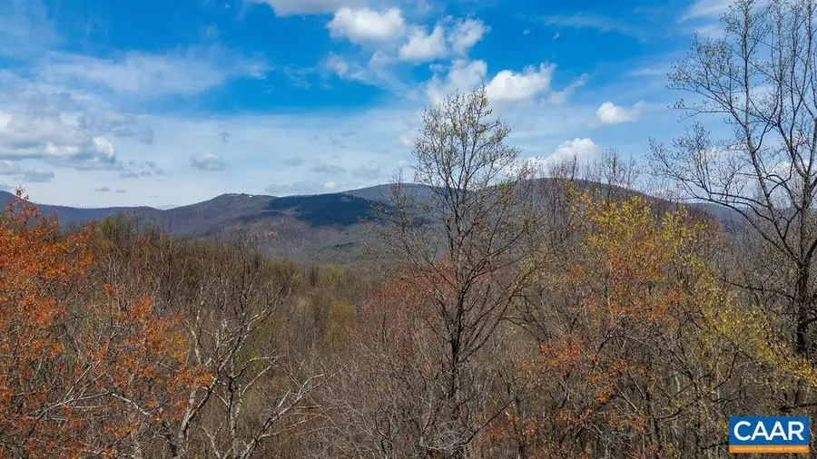 472 Horseshoe Mountain Rd, Roseland, VA 22967 - #3