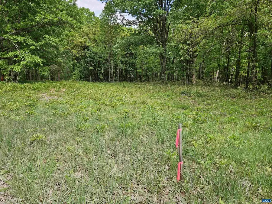 8.65 Ac Pond Rd, Buckingham, VA 23921 - #2