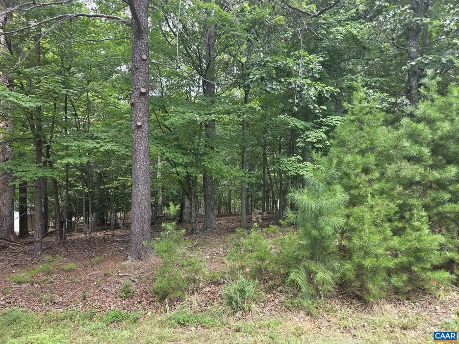 85 Laguna Rd, Palmyra, VA 22963 - #2