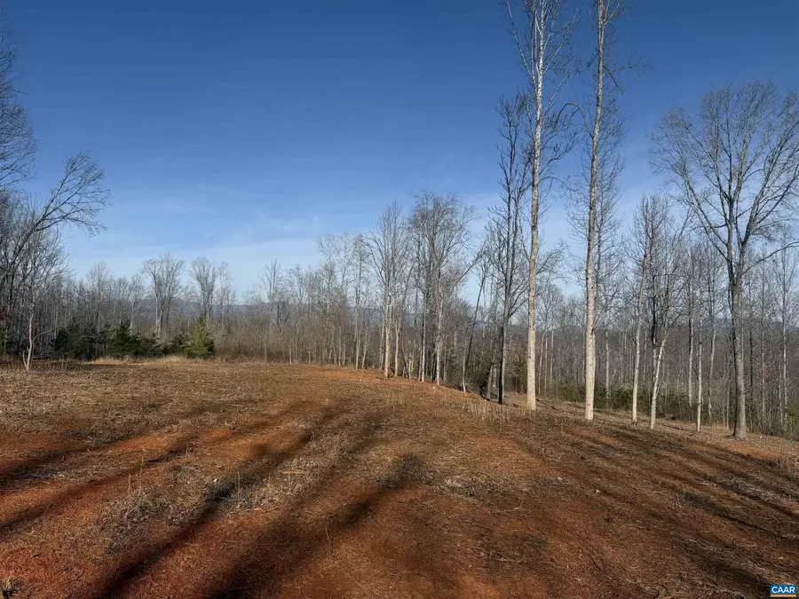 0 Wingfield Dr, Goode, VA 24556 - #3