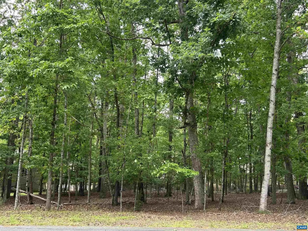 25 Laguna Rd #130, Palmyra, VA 22963 - #1