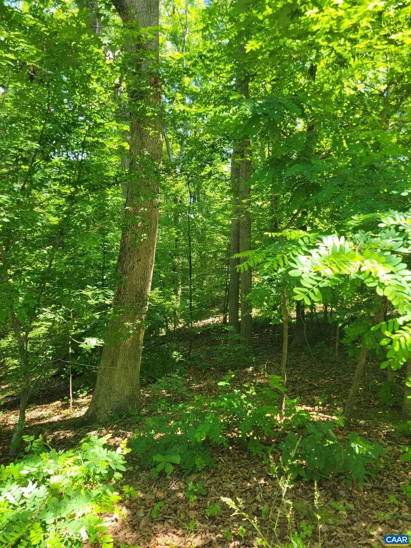 8 Mechunk Ter, Palmyra, VA 22963 - #1