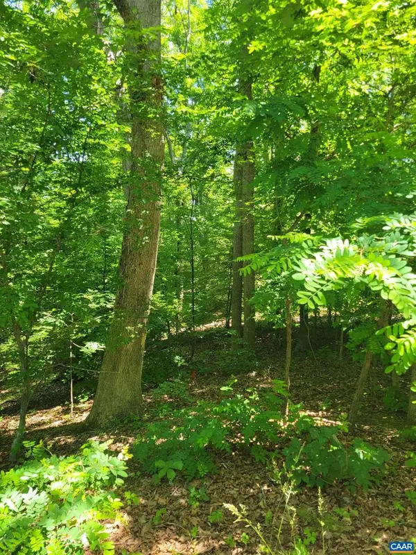 8 Mechunk Ter, PALMYRA, VA 22963