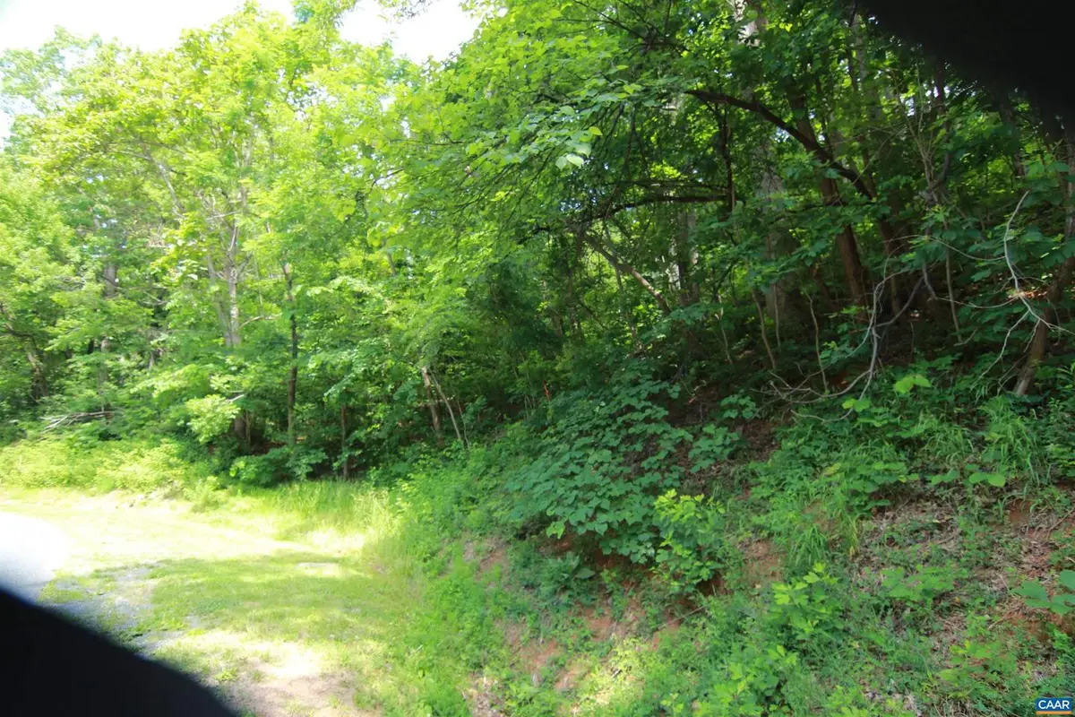 1351 Black Walnut Dr #g54, Nellysford, VA 22958 - #1