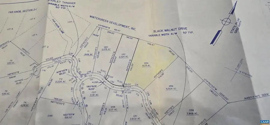 1351 Black Walnut Dr #g54, Nellysford, VA 22958 - #3