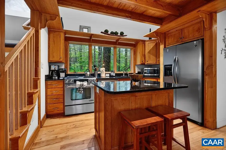 455 Deer Springs Ln, Wintergreen, VA 22967 - #3