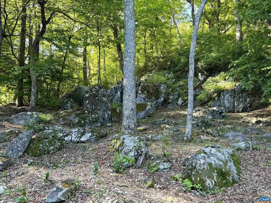 20 Buckhorn Ln, Wintergreen Resort, VA 22967 - #3