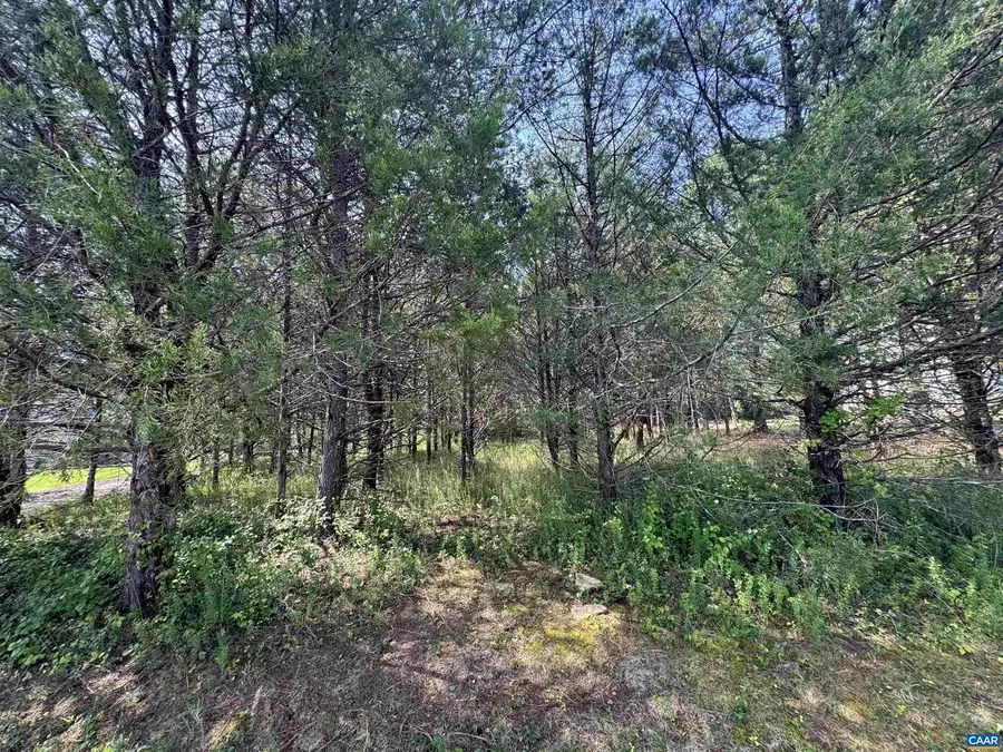 Tbd Hunters Pt #37, Nellysford, VA 22958 - #3