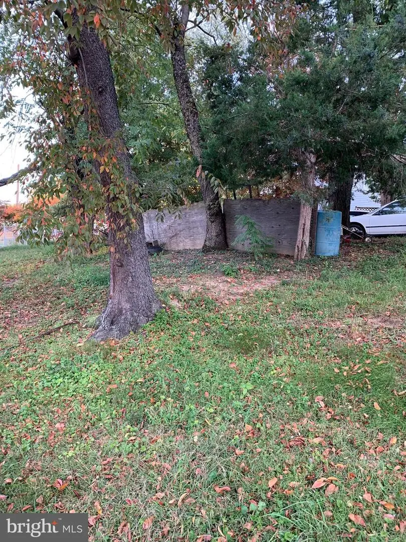 51st St Ne, Washington, DC 20019 - Image #2