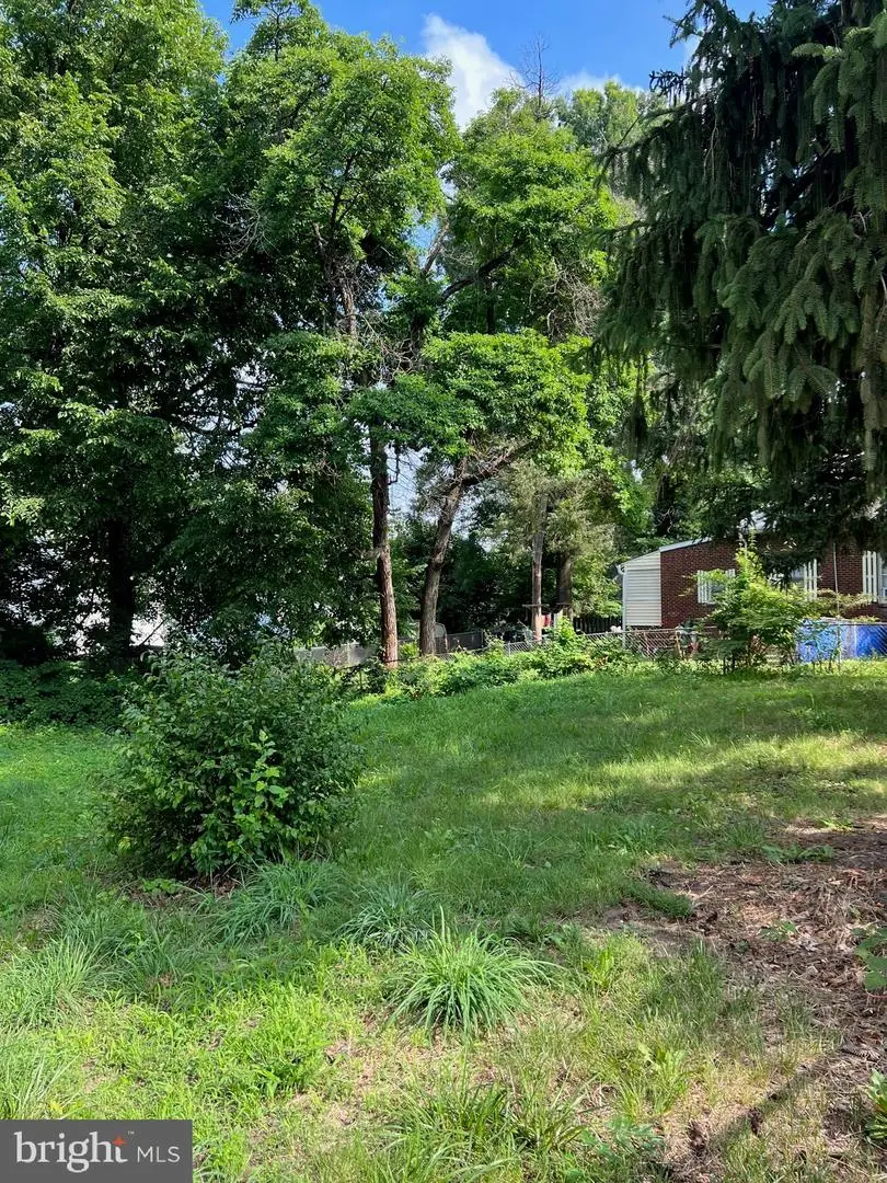 318 57th St Ne, Washington, DC 20019 - Image #3