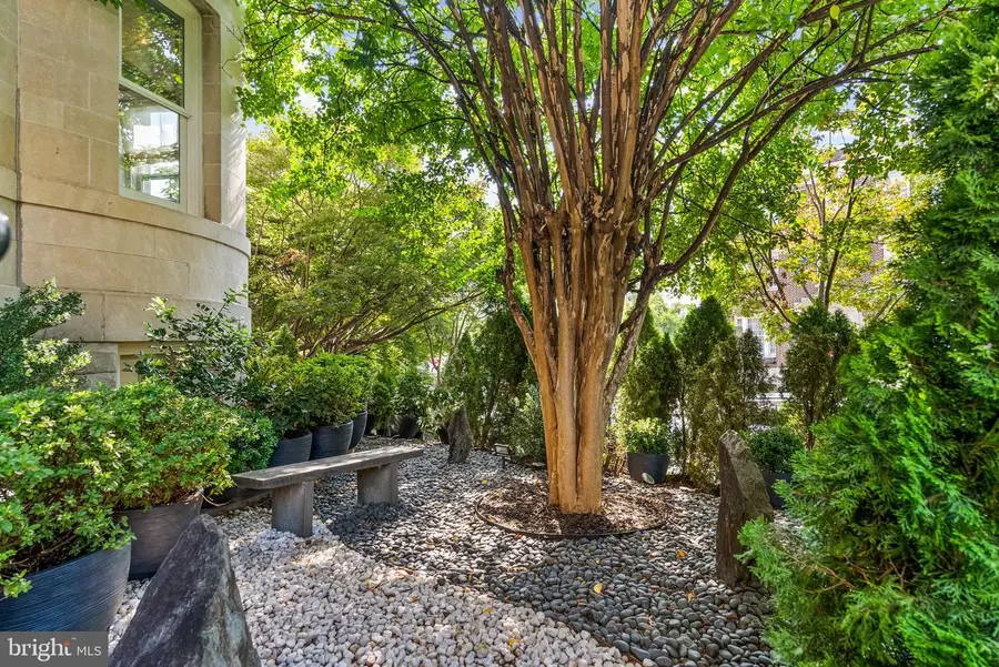 2131 S St Nw, Washington, DC 20008 - #3