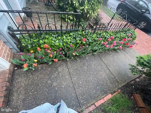 237 10th St Se, Washington, DC 20003 - Image #3