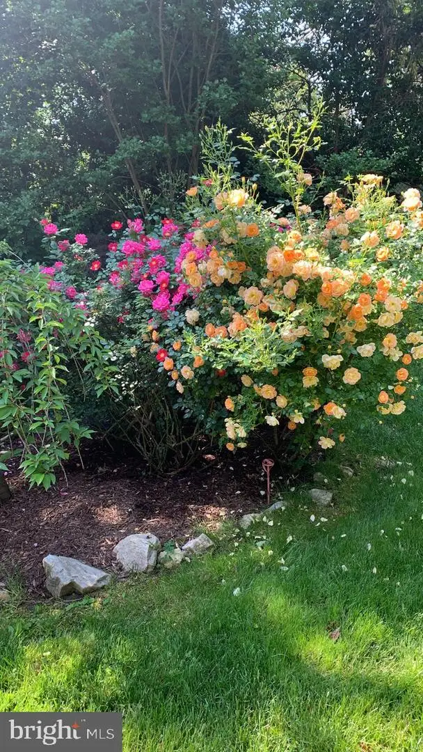 2608 Northampton St Nw, Washington, DC 20015 - #3